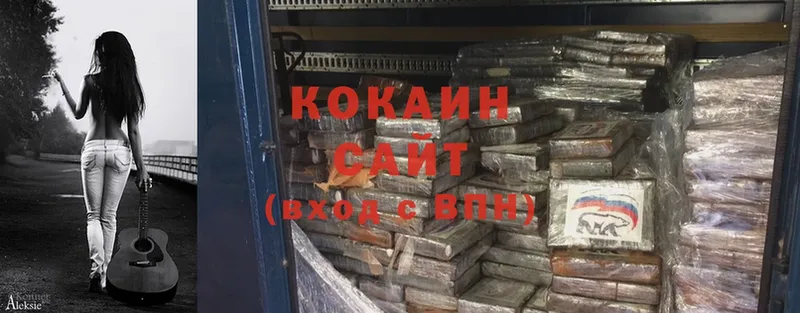 COCAIN Fish Scale  даркнет сайт  Устюжна 